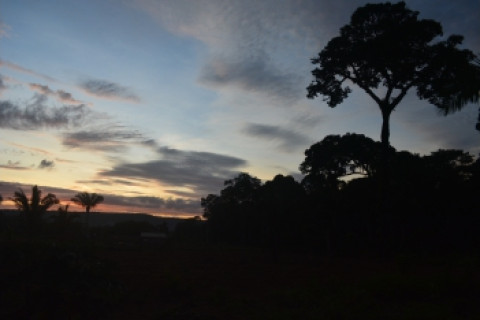 Petróleo na Foz do Amazonas amedronta pescadores na costa do Pará